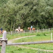 pferde reiter bei st leonhard passeier