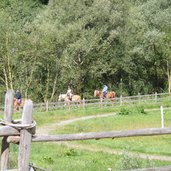 pferde reiter bei st leonhard passeier