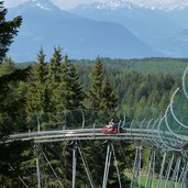 meran alpinbob alpine coaster