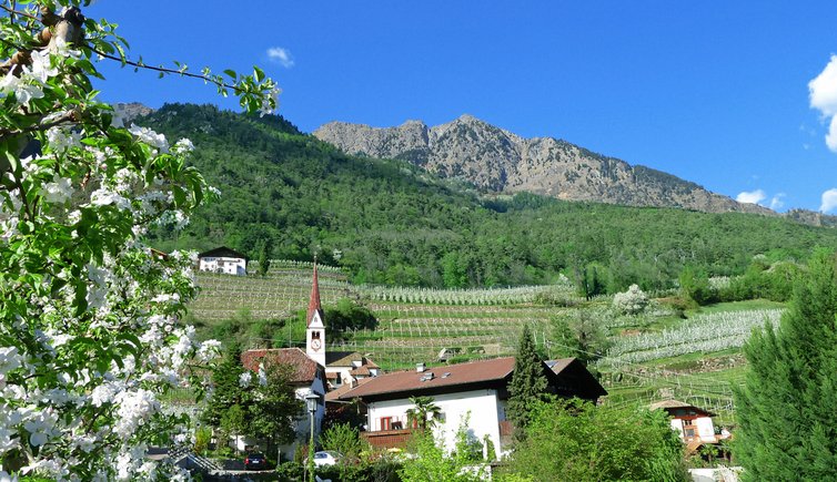 algund oberplars lagundo plars di sopra