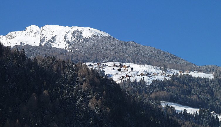 ulfas winter