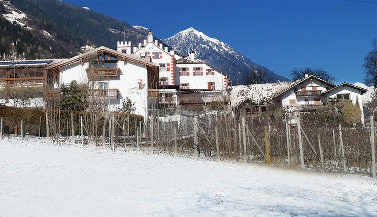 saltaus winter saltusio inverno