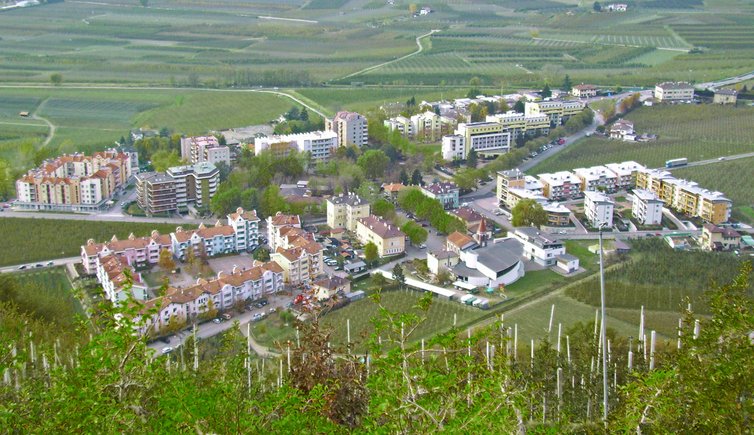 sinich meran merano sinigo