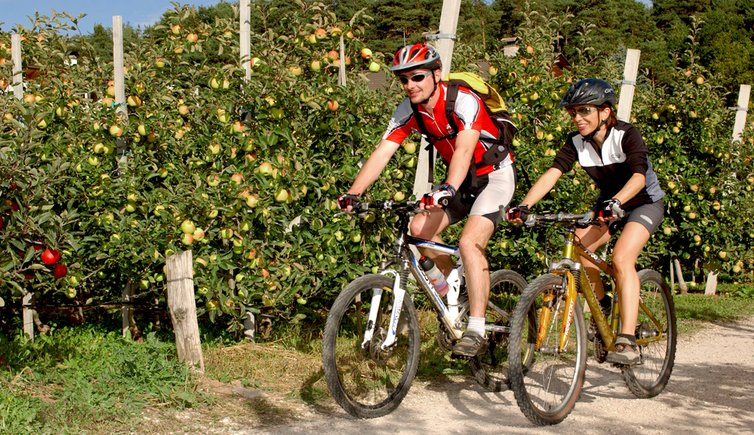 cg radfahren mountainbike obstwiesen