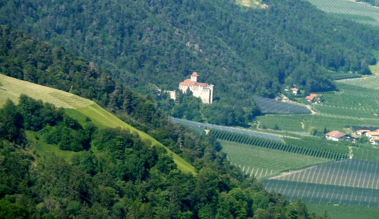 Schloss Dornsberg Tarantsberg Plaus, Naturns