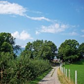dorf tirol kastanienbaum am apfelweg