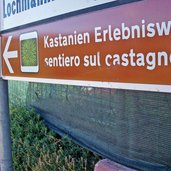 voellan schild kastanien erlebnisweg