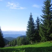 Laugenspitze