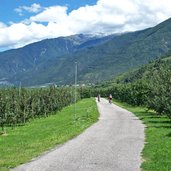 schlanders radweg richtung latsch