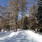 rodelpiste vigiljoch