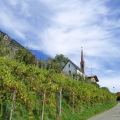 vellau kirche weinberg