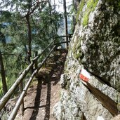 weg a moerre schweinsteg waldpfad