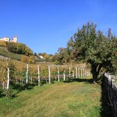 Tisens Prissian Herbst Schloss Wehrburg