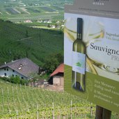 wein bei tscherms schild sauvignon