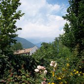 tscherms weingut kraenzel labyrinthgarten