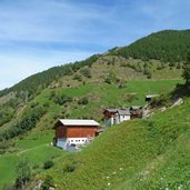 wald hof am mhw eingang schnalstal