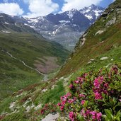 lazinsertal weg nr