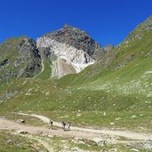 wanderer schneeberg dahinter guertelwand
