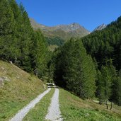 weg nr bei foessalm hinterpasseier