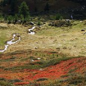 seebertal herbstfarben