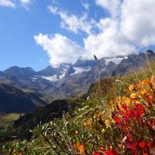 seebertal herbstfarben