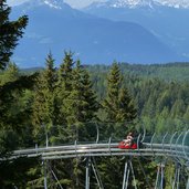 meran alpinbob alpine coaster