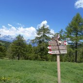 forstweg moschwaldalm hafling wanderwege wegweiser