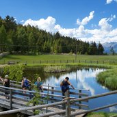 teich nahe leadner alm voeran