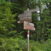 forstweg leadner alm zur voeraner alm wegweiser