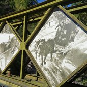 neuer haflinger erlebnisweg buergeleweg bruecke haflinger pferde bilder