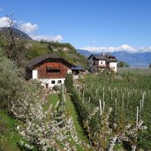 weg nr richtung sirmian bauernhoefe