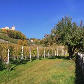 Tisens Prissian Herbst Schloss Wehrburg