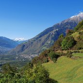 wald und wiesen bei vellau herbst und partschins