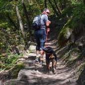 sunnseiten steig burgstall voeran person hund