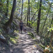 sunnseiten steig burgstall voeran person hund