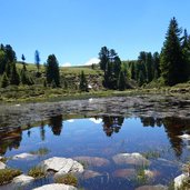 teich bei rauher bichl