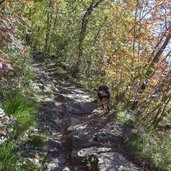 sunnseiten steig burgstall voeran hund