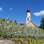 naturns apfelbluete april fruehling