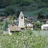 naturns st prokulus kirche apfelbluete