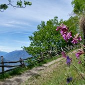 taser hoehenweg wiesen bei egger