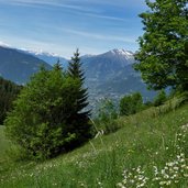 wiesen bei egger taser hoehenweg