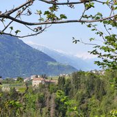 wald und burg schloss auer dorf tirol