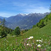 taser hoehenweg wiesen bei egger