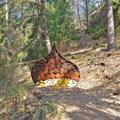 tisens erlebnisweg vorbichl kastanien holz tesimo