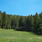 hochseilgarten taser