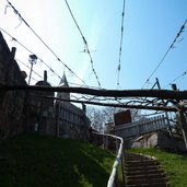 prissian bei schloss katzenzungen wanderweg unter der groessten rebe europas