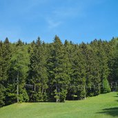 hochseilgarten taser