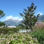 therme meran thermenpark pool schwimmbad