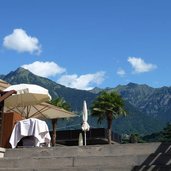 palmen vor therme meran