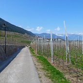 tisens prissian wiesenweg